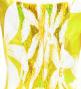 Hula Midi Dress with Tiare Print / Luxury Collection / Yellow / J2688ye