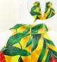 Hula Long Red Ginger Dress with Velvet / Luxury Collection / Yellow / J2713ye