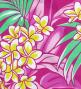 Hula Pa'u Skirt with Plumeria & Leaf Print / Pink / J2821