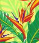 Hula Pa'u Skirt with Bird of Paradise Print / Yellow /J3023