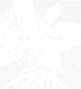 Hula Pa'u Skirt with Plumeria & Hawaiian Leaf Print / White /G3063