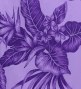 Hula Pa'u Skirt with Plumeria & Hawaiian Leaf Print / Purple /G3067