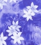 Hula Pa'u Skirt with Plumeria Print / Purple /J3077