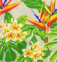 Hula Pa'u Skirt with Strelitzia & Plumeria Print / Beige / G3129