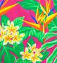 Hula Pa'u Skirt with Strelitzia & Plumeria Print / Fuchsia / G3133