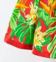 Hula Pa'u Skirt with Strelitzia & Plumeria Print / Red / G3135