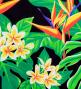 Hula Pa'u Skirt with Strelitzia & Plumeria Print / Black / G3137