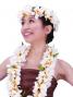 Hula Headband / Plumeria / Yellow / J315