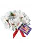 Hula Headband / Plumeria / White / J663