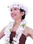 Hula Headband / Plumeria / White / J663