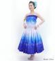 Hula Shantung Tube Top & Pa'u Set-Up with Gradation Print / Luxury Collection / J3046-6