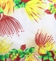Hula Shantung Pa'u Skirt with Lehua Print / Luxury Collection / Red & Beige / J3154rdbe