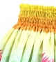 Hula Double Shantung Pa'u Skirt with Lehua Print / Luxury Collection / J3163-1
