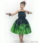 Hula Keiki Set-Up with Musical instrument & Kahiko Print / Luxury Collection / Jp136bkgr