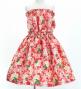 Hula Set up Keiki with Plumeria Print / Luxury Collection / Red / Jp67rd