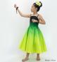 Hula Midi Gradation Dress/ Luxury Collection / Green & Yellow / Jp69grye