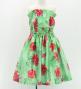 Hula Set up Keiki with Hibiscus Print / Luxury Collection / Green / Jp71gr