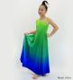 Hula One Shoulder Gradation Velvet Dress/ Luxury Collection / YEL GRN & BLU / Jp72yegrbl