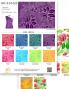 Hula Fabric Swatch / 2sets / JKH-514
