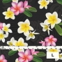 Hula Fabric / Plumeria / JKH-518-BK