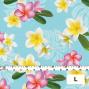 Hula Fabric / Plumeria / JKH-518-LBL