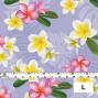 Hula Fabric / Plumeria / JKH-518-LV