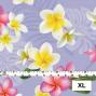 Hula Fabric / Plumeria / JKH-518-LV