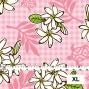 Hula Fabric / Tiare / JKH-520-PI