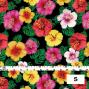 Hula Fabric / Hibiscus / JKH-524-BK