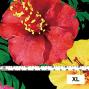 Hula Fabric / Hibiscus / JKH-524-BK