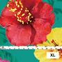 Hula Fabric / Hibiscus / JKH-524-GR