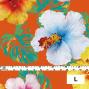 Hula Fabric / Hibiscus / JKH-524-OR