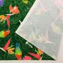 Hula Fabric / Tropical Birds / JKH-526-GR