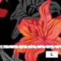 Hula Fabric / Lily / JKH-528-BK
