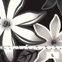Hula Fabric / Tiare / JKH-530-BK