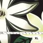 Hula Fabric / Tiare / JKH-530-BKLYE