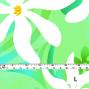 Hula Fabric / Tiare / JKH-542-GR