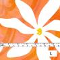 Hula Fabric / Tiare / JKH-542-OR