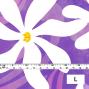 Hula Fabric / Tiare / JKH-542-PU