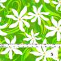 Hula Fabric / Tiare / JKH-542-YEGR