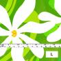Hula Fabric / Tiare / JKH-542-YEGR