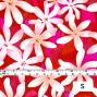 Hula Fabric / Tiare / JKH-544-RD