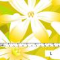 Hula Fabric / Tiare / JKH-544-YE