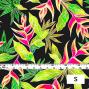Hula Fabric / Heliconia / JKH-546-BK