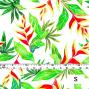 Hula Fabric / Heliconia / JKH-546-WHRD