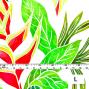 Hula Fabric / Heliconia / JKH-546-WHRD