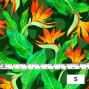 Hula Fabric / Strelitzia / JKH-550-GR