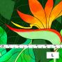 Hula Fabric / Strelitzia / JKH-550-GR