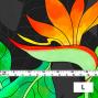 Hula Fabric / Strelitzia / JKH-550-GY