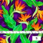 Hula Fabric / Strelitzia / JKH-550-PU